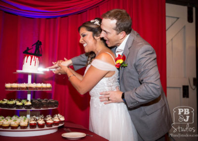 Renette and Todd cutting wedding cake